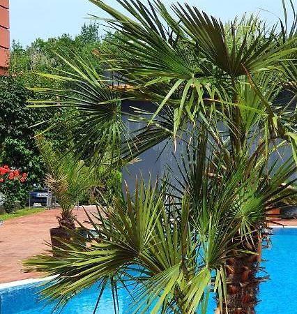 Apartament Cacao Residence Pantai Sunny Luaran gambar